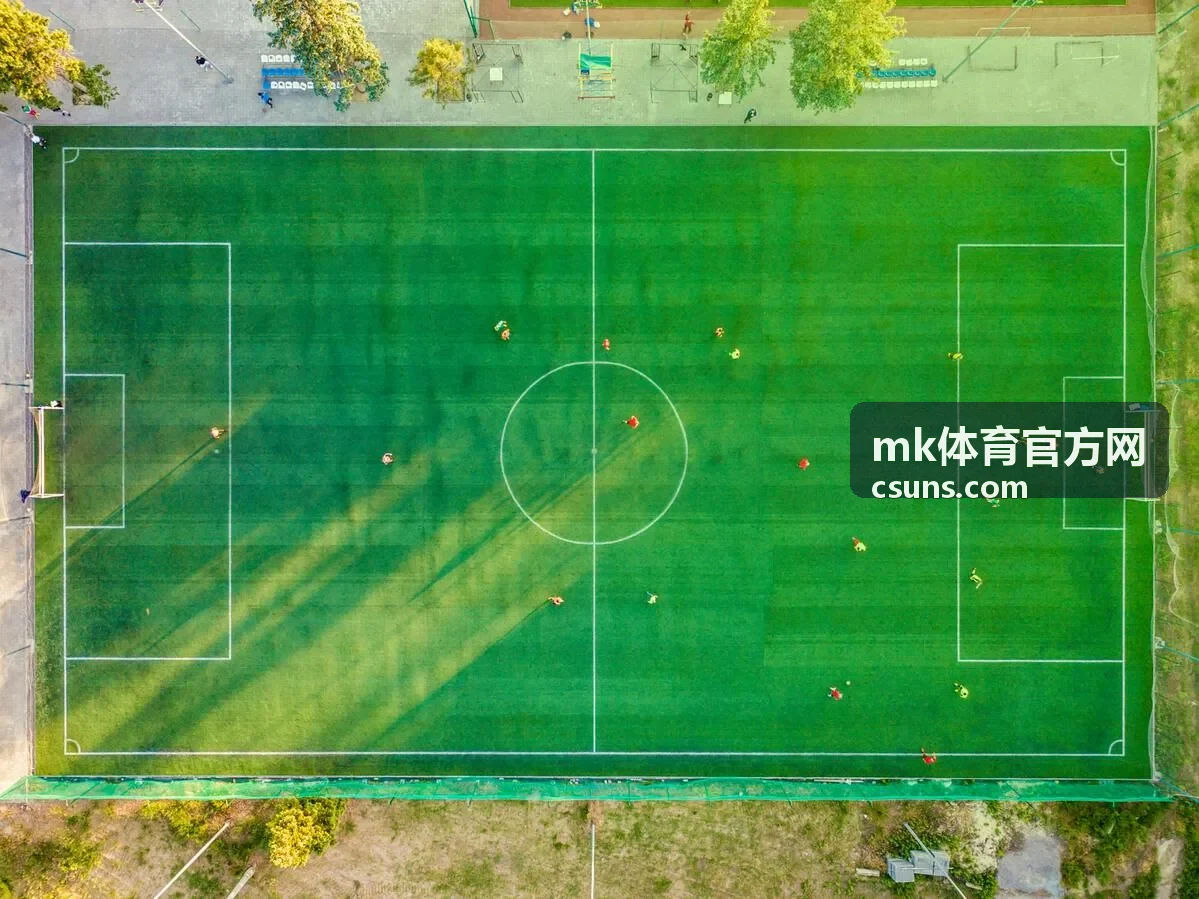 mk体育官方网训练课程推荐内容图