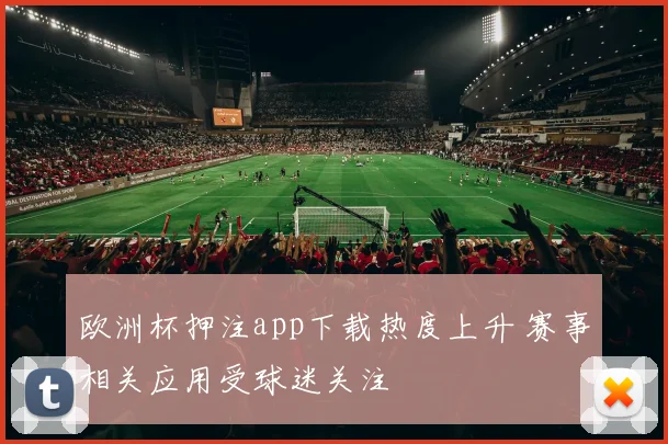 欧洲杯押注app下载热度上升 赛事相关应用受球迷关注