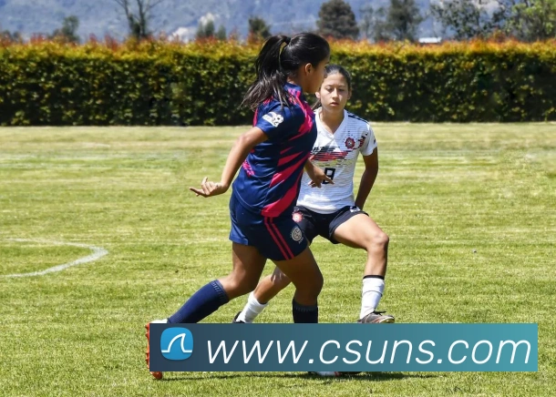 辅助工具 辅助工具